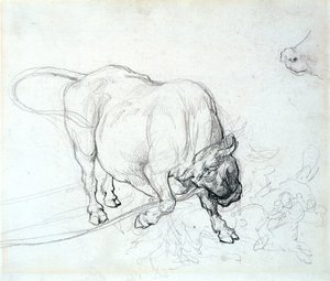 Estudio de un toro de Theodore Gericault